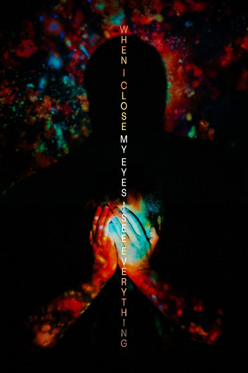 When I Close My Eyes I See Everything (2022) poster
