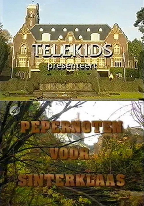 Pepernoten voor Sinterklaas (1995) poster