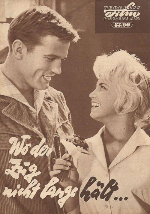 Wo der Zug nicht lange hält (1960) poster