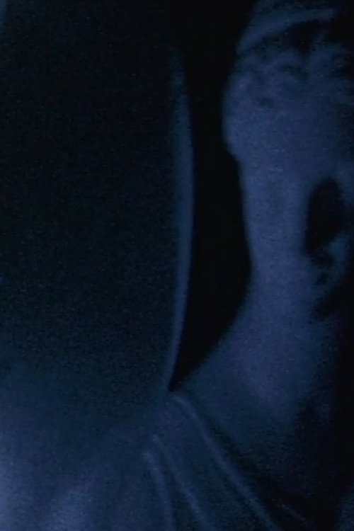 Reverie (2001) poster
