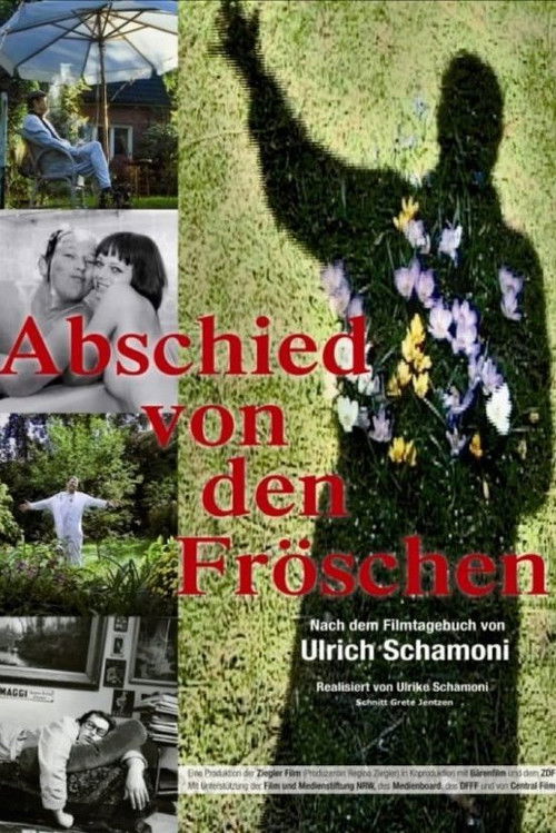 Abschied von den Fröschen (2012) poster