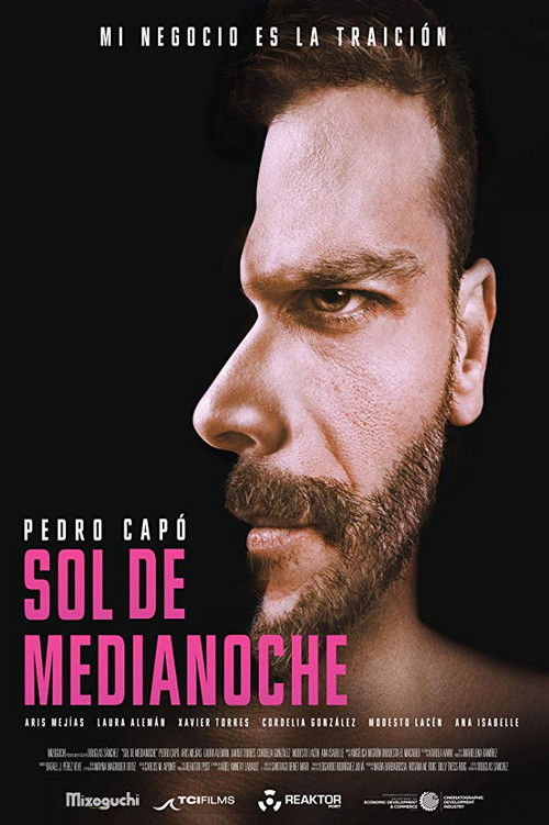 Sol de medianoche (2017) poster