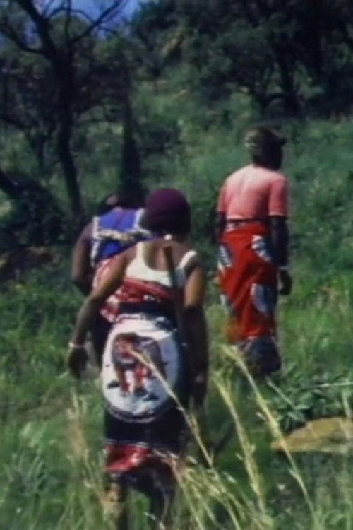 Les Sangomas (1985) poster