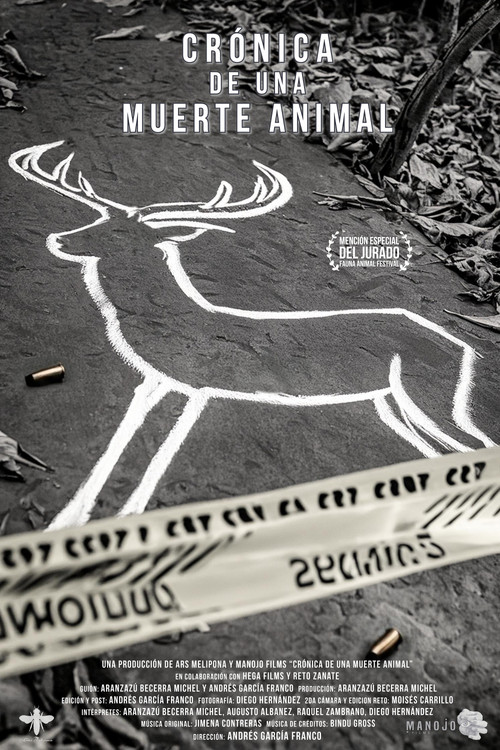 Muder´s in the zoo (2024) poster