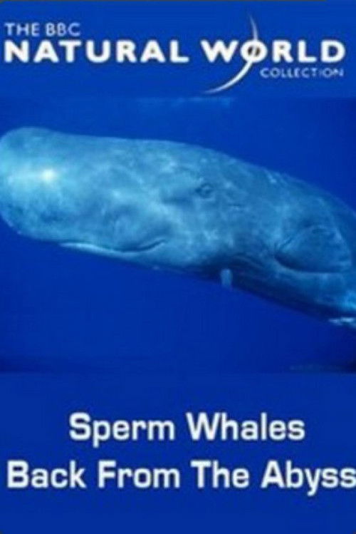Sperm Whales: Back from the Abyss (1996) poster