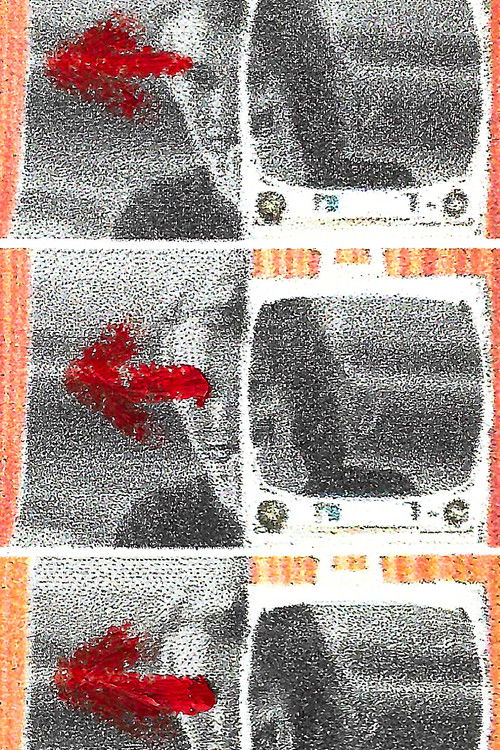 Mes regards sont allés comme des glaneuses (2024) poster