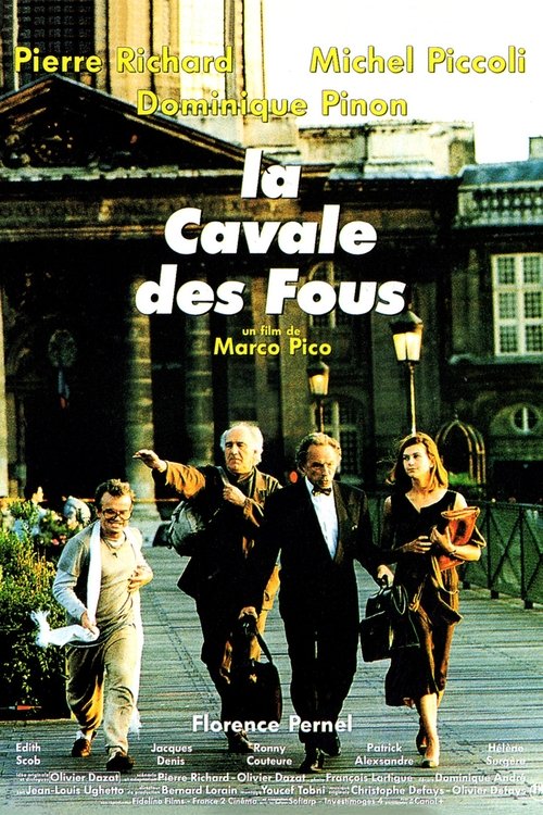 La Cavale des fous (1993) poster