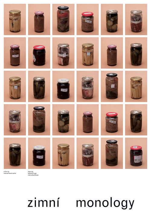 Zimní monology (2024) poster