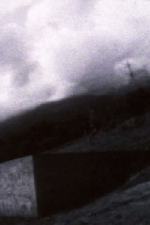 Inclined Horizon (2007) poster