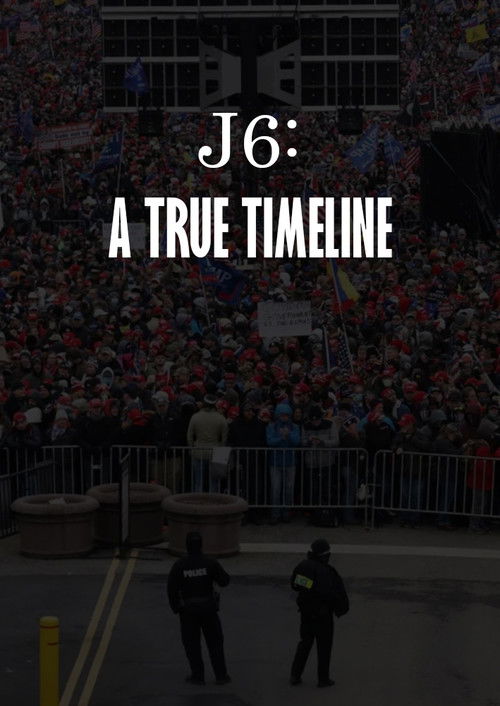 J6: A True Timeline (2024) poster