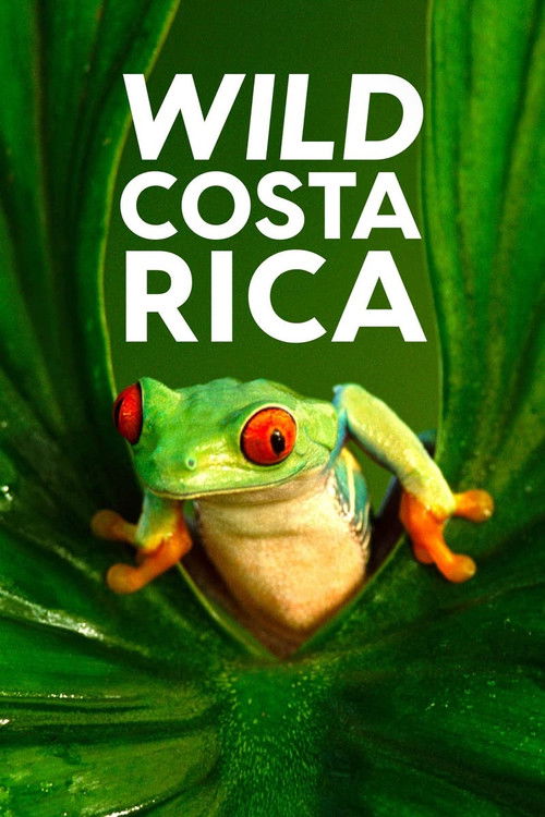 Wild Costa Rica (2000) poster
