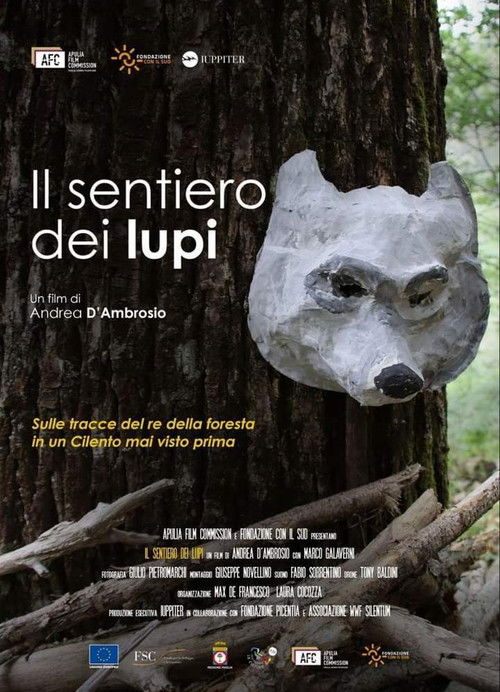 Il sentiero dei lupi (2023) poster
