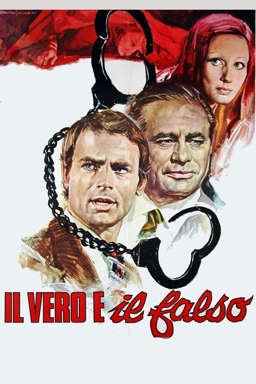 The Hassled Hooker (1972) poster