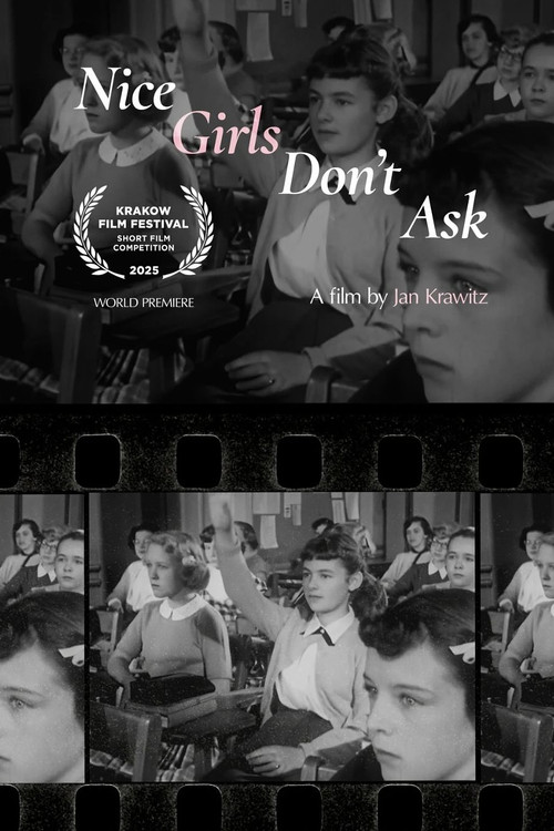 Nice Girls Don't Ask (2025) poster