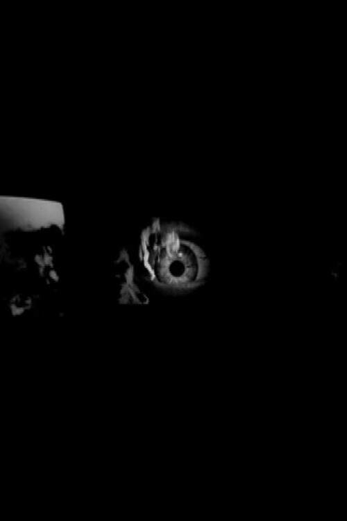 Profanaciones (2008) poster