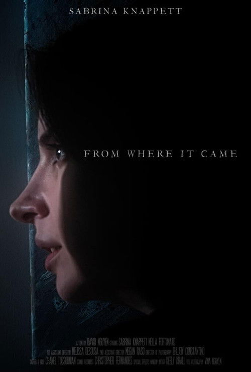 From Where It Came (2021) poster