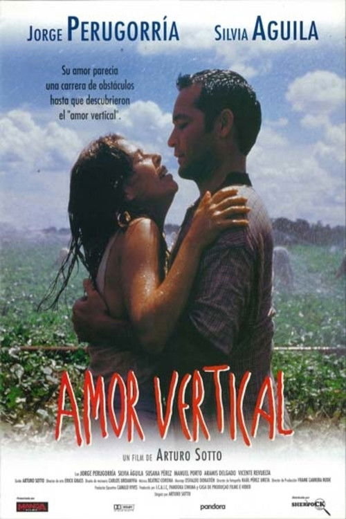 Vertical Love (1997) poster