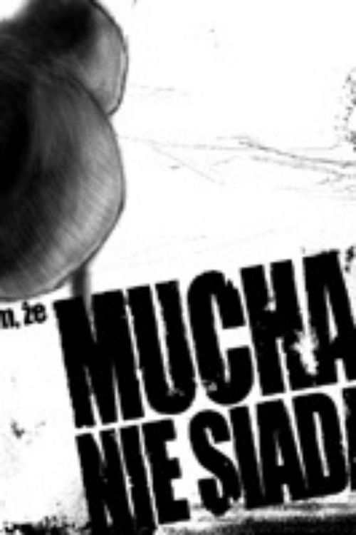 Film, że mucha nie siada (2004) poster
