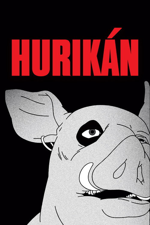 Hurikán (2024) poster