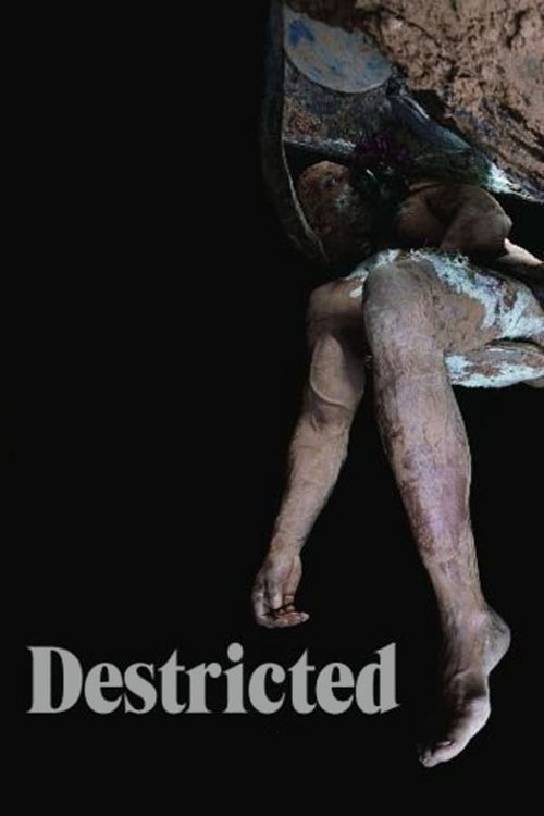 Destricted (2006) poster