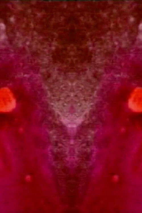 Estudio En Rojo (2002) poster