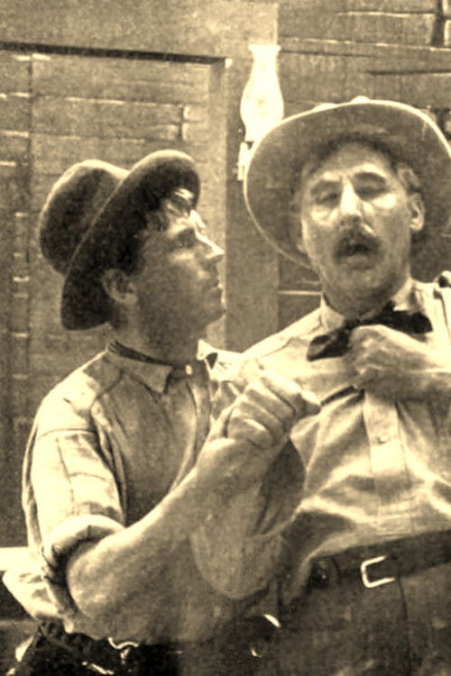 The Stage Driver's Daughter (1911) poster