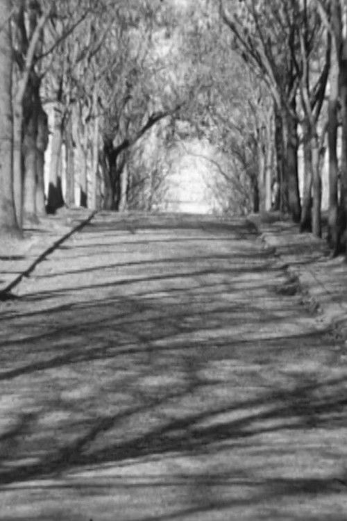 Jelena (2024) poster