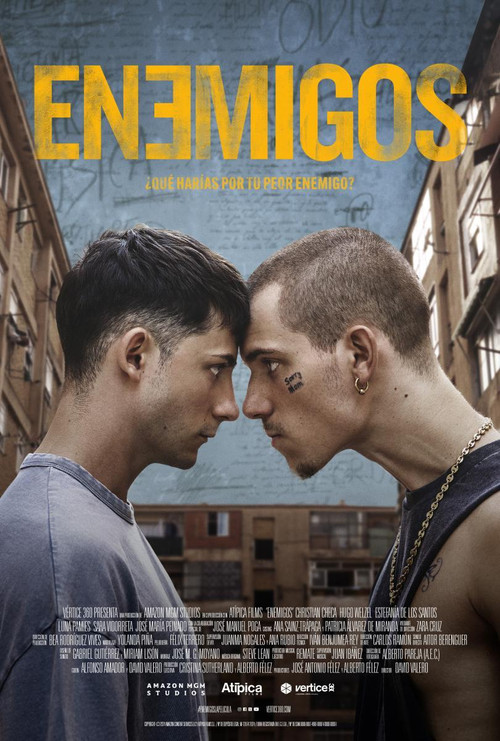 Düşmanlar (2025) poster