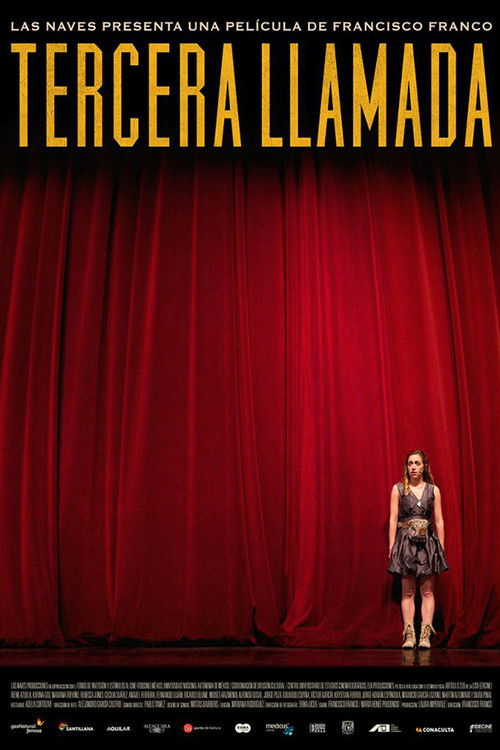Tercera llamada (2013) poster