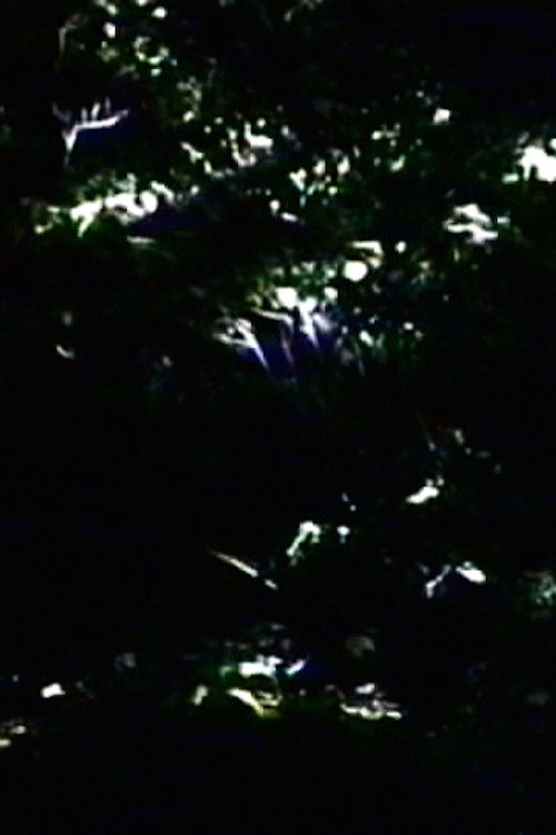 The Darkening (2000) poster