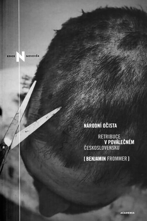 Národní očista (2018) poster