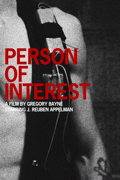 Person of Interest (2010) poster