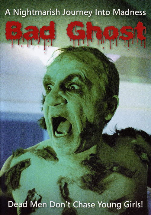 Bad Ghost (2008) poster