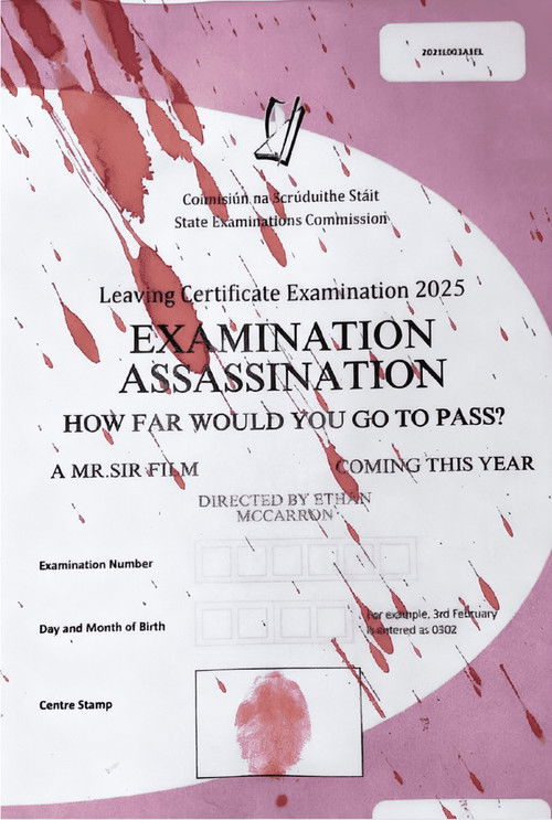 Examination Assassination (2025) poster