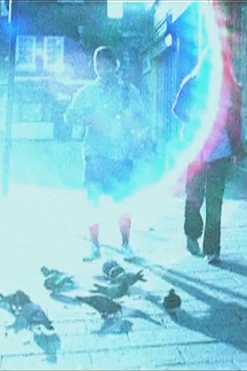 London Birds Can't Fly (2003) poster