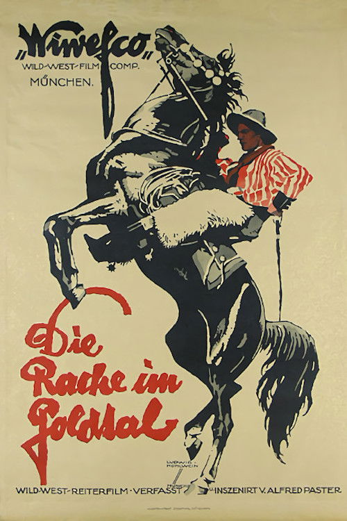 Die Rache im Goldtal (1919) poster