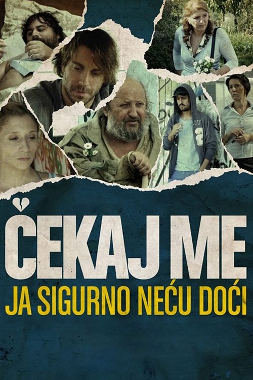 Wait for Me and I Will Not Come (2009) poster