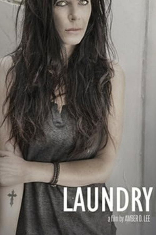 Laudry (2009) poster