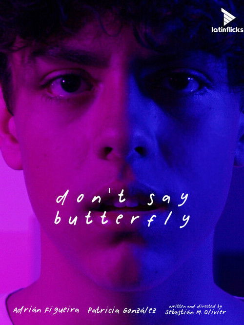 Don't Say Butterfly (2023) poster