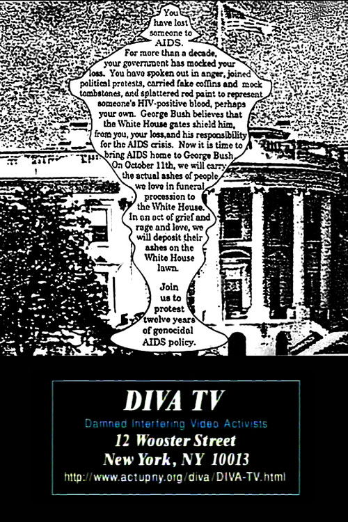 The Ashes Action (1996) poster