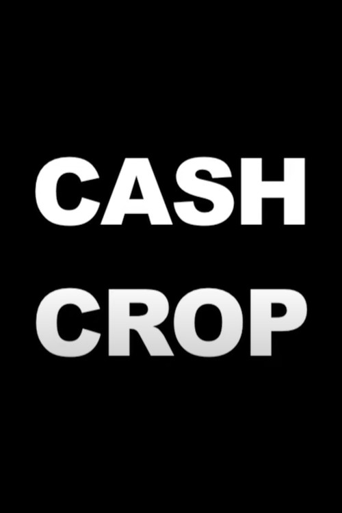 Cash Crop (2012) poster