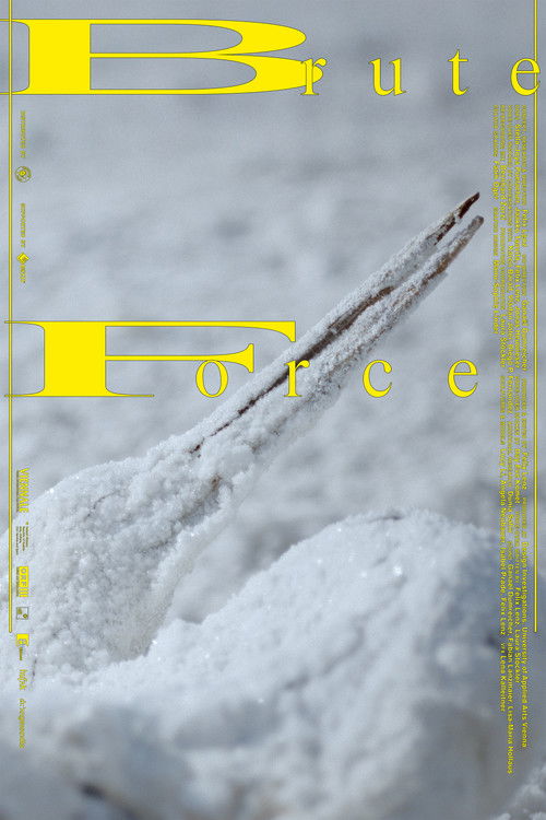 Brute Force (2025) poster