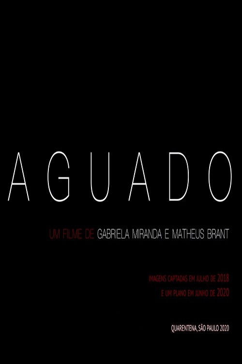 Aguado (2021) poster