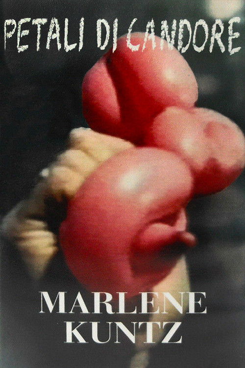 Marlene Kuntz: Petali di Candore (1998) poster