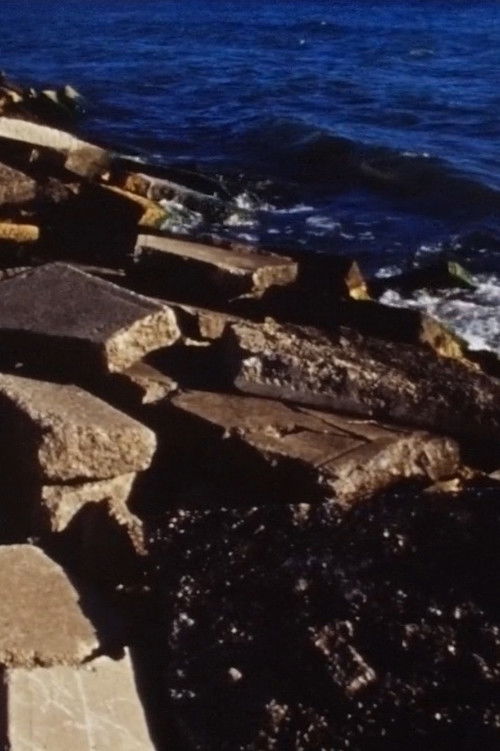 Low Tide (2019) poster