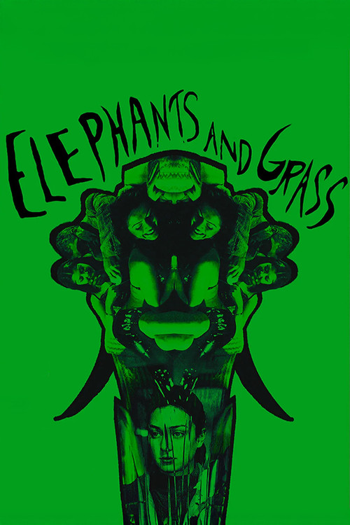 Elephants and Grass (2000) poster