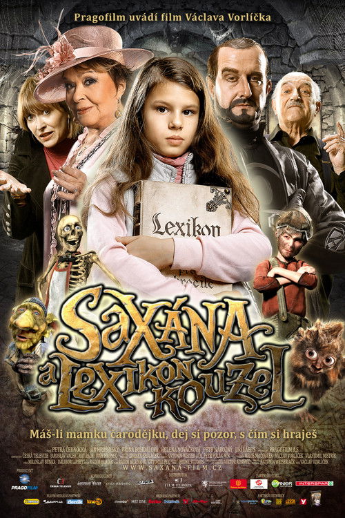 Saxána a Lexikon kouzel (2011) poster