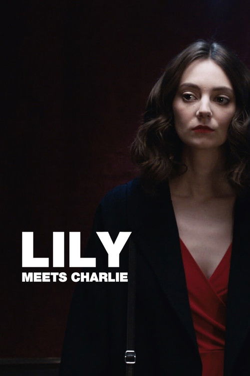 Lily Meets Charlie (2019) poster