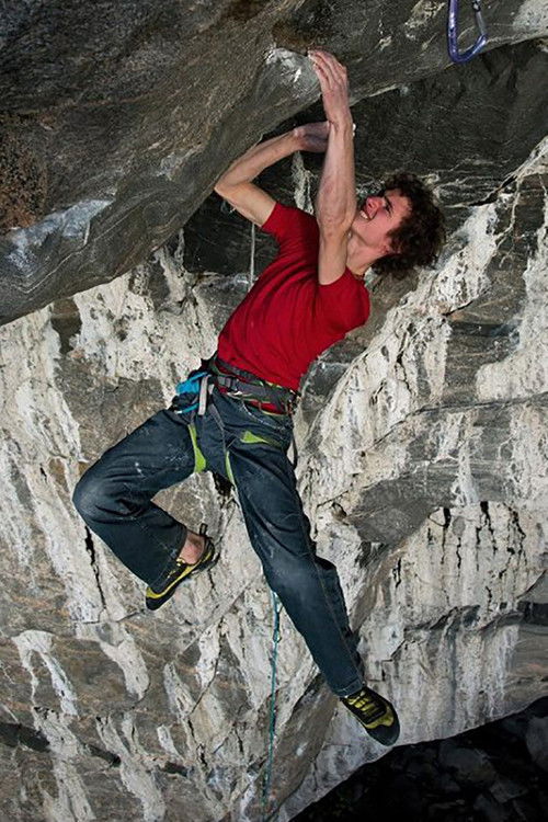 The Wizard's Apprentice (2012) poster