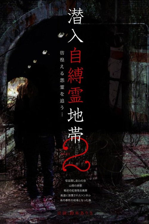 Infiltration: The Haunted Zone 2 - Chasing Wandering Resentful Spirits... (2009) poster